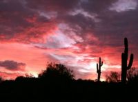 Phoenix Sunset