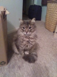 Meet Foofy!