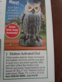 Fake Owl