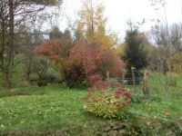 Autumn...