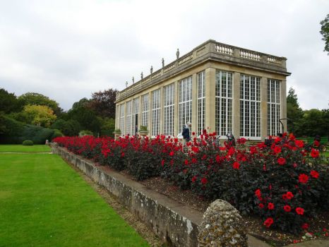 The Orangery, Belton House