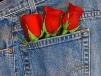 Pocket roses