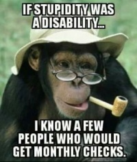 If stupidity was a disability
