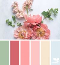Flowers - Seeds