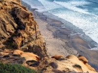 Torrey Pines - beach-from-above