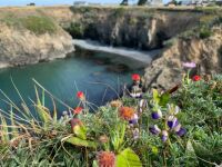 Mendocino Springtime