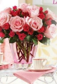 Pink and red