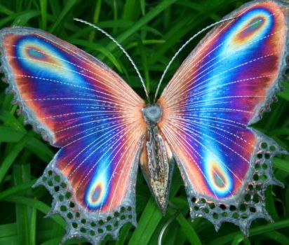 Solve Golden Cocoon Butterfly jigsaw puzzle online with 72 pieces