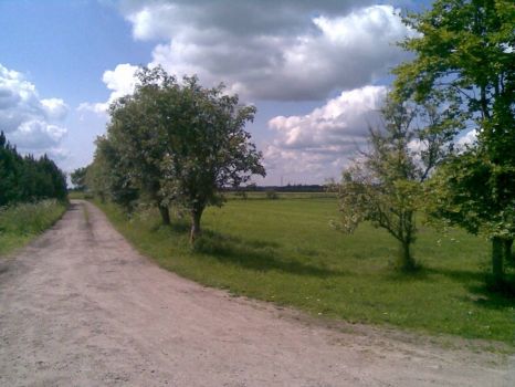summer
