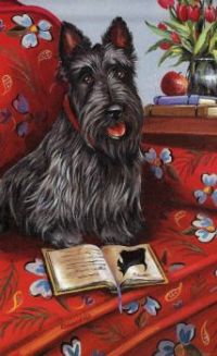 Scottish Terrier Wishes You A Happy Valentine's Day Jigidi Friend!