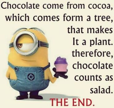 Chocolate comes from coco