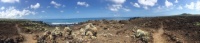 Floriana Island