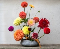 Flower arrangement dahlias 2024-3