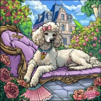 Sweet poodle 🐩 🎀