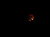 "The Moon"