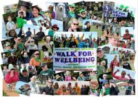 2017 Walk for Wellbeing collage