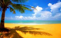 the beach