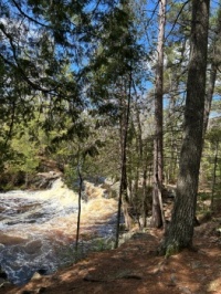 Horseshoe Falls