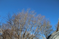 Blue Sky Yesterday