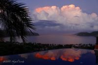 Palm with clouds