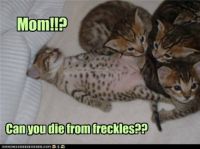For Anne and Atsutsa re freckles