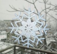 A Snowflake