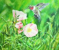 Hummingbird Painting