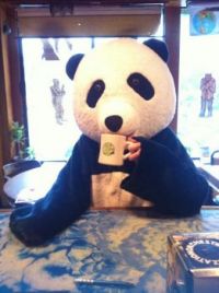 Panda at Cafe Racer