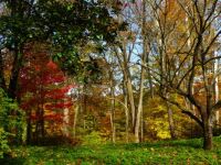 The greatest glory in living lies not in never falling, but in rising every time we fall. Ralph Waldo Emerson