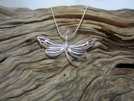 silver dragonfly