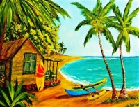 Waiting on the Waves Hawaii by Donald K. Hall