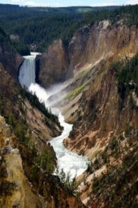 Canyon of the Yellowstone, Wyoming