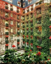 Hotel-Plaza-Athenee-Paris