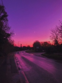 purple skies