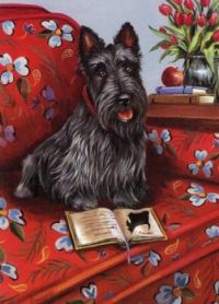 Scottish Terrier Wishes You A Happy Valentine's Day Jigidi Friend!