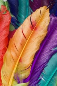 feather