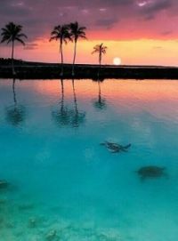 Sunset at Kiholo Bay, Hawaii.