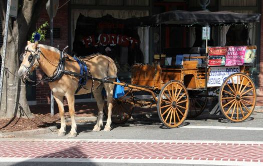 Pony Carriage