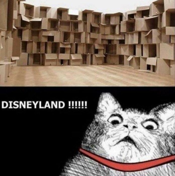 Cat Disneyland