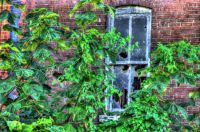 Tannery Window