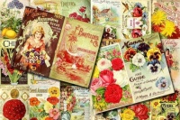 Vintage Catalogues (1,792)