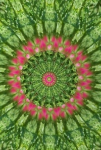 Kaleido