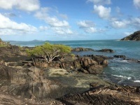 Northern tip of Australia