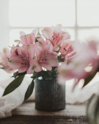 Pink Flowers in a Ceramic Vase