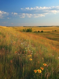 Tallgrass Prairie National Preserve, Kansas