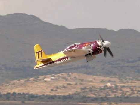 Rare Bear - Grumman F8F Bearcat - 2004 - Winner Unlimited Class Gold Race