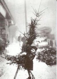Little Boy with Christmas Tree