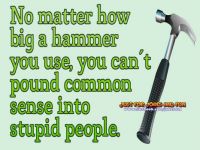 can't fix stupid
