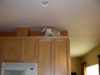 Tai in the kitchen
