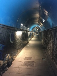 Riomaggiore Tunel Azul